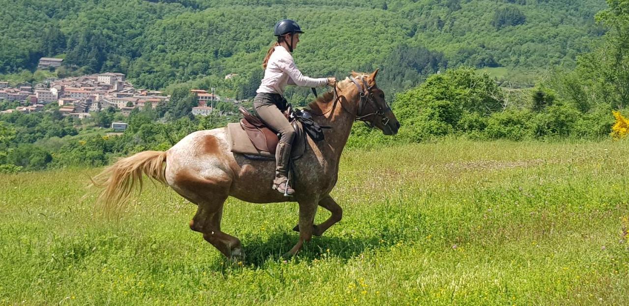 Rifugio Prategiano Farm stay *